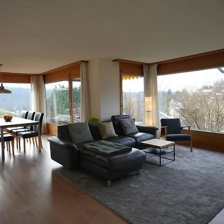 Sonniges Haus Bei Bern *